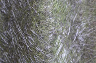 Tarbert fibreglass roof work